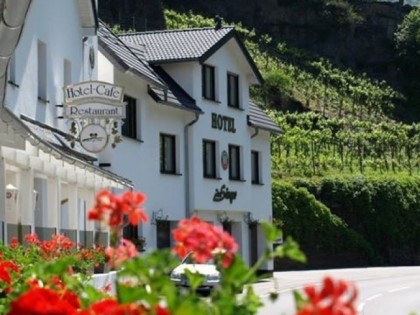 Фото: Hotel zum Sänger an der Ahr